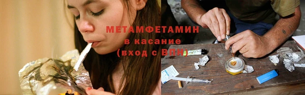 шишки Арсеньев