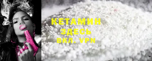 шишки Арсеньев