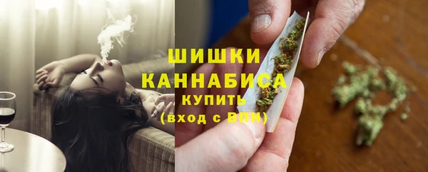 шишки Арсеньев