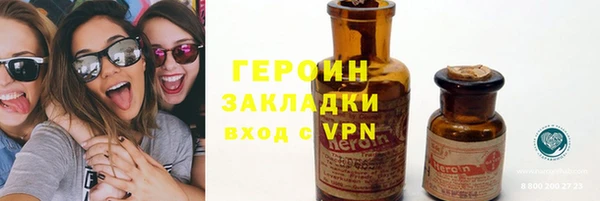 шишки Арсеньев