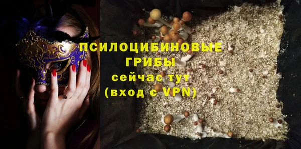 молекула духа Армянск