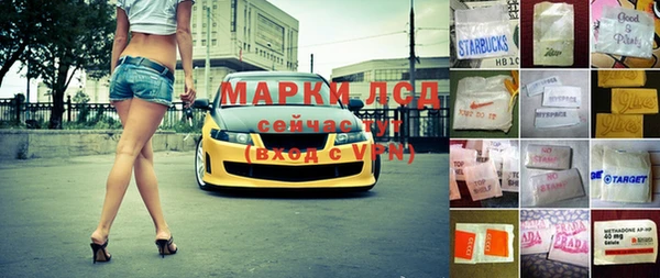 шишки Арсеньев