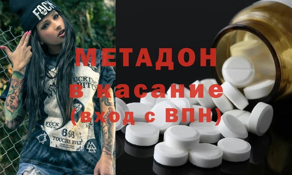 шишки Арсеньев