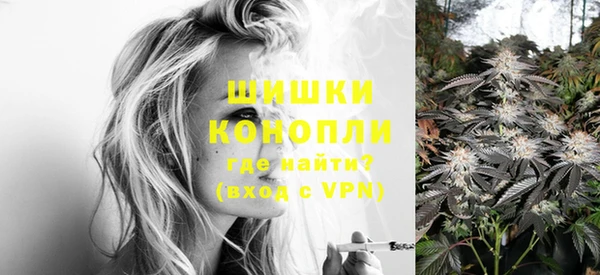 шишки Арсеньев