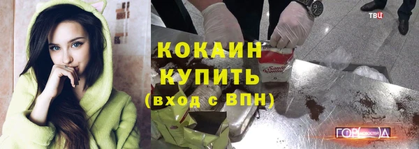 шишки Арсеньев